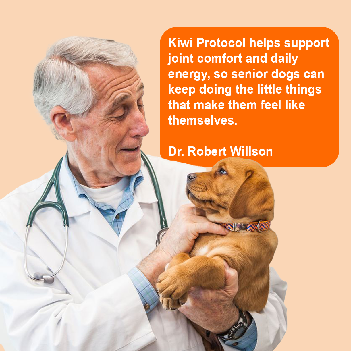 Nanoliposomal Drops for Dogs