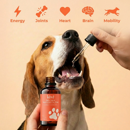 Nanoliposomal Drops for Dogs